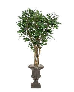 7' Canopy Ficus in Rust Finish Resin Classic Urn