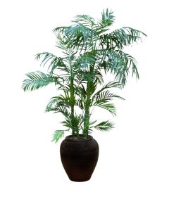 Areca Palm in Brown Stoneware Planter