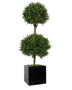 2 Ball Boxwood Topiary in Block Planter