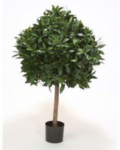 3.5' Sweet Bay Single Ball Topiary In Plastic Liner