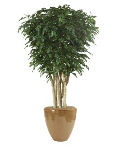 10' Ficus Tree in Metallic Mocha Stoneware Planter