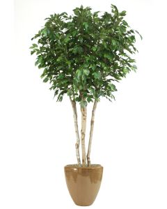 8' Ficus Tree in Metallic Mocha Stoneware Planter