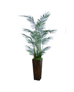 Areca Palm Tree in Crushed Bamboo