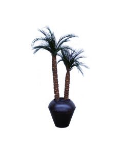 Robellini Palm x2 in Metal Jar with Rivets