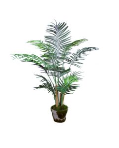 4 ft Areca Palm Tree