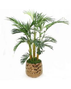 Areca Palm in Gold Planter
