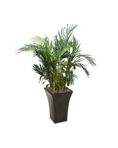 Areca Palm in Bronze Tall Flared Metal Planter