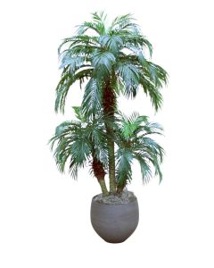 8' Phoenix Palm Tree X3 in Chocolate Orb Planter