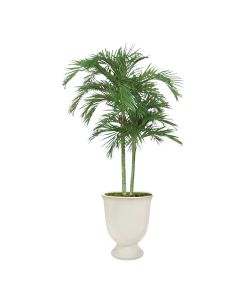 9ft Areca Palm in White Concrete Urn