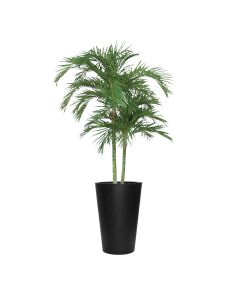 9ft Areca Palm in Black Fiberstone Planter
