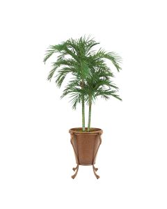 9ft Areca Palm in Golden Tortoise in Acanthus Stand
