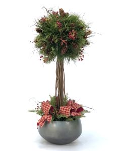 Pine Ball Topiary in Sosa Bowl