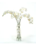 Waterlook® White Phaleanopsis Orchids in Clear inverted Glass Cylinder