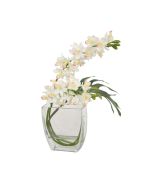 Waterlook® White Orchid Arrangement with Split Philo Leaf in Curved Rectangular Glass Vase