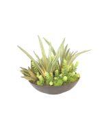 Succulent Mix in Rough Stone Black Bowl