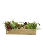 Mix of Succulents with Ferns and Grasses in Wooden Wall Box