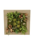 Square Wooden Box with Succulents and Artichokes