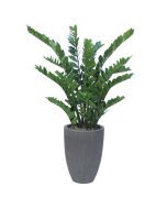 ZZ Plant X3 in Vertical Ridge Planter