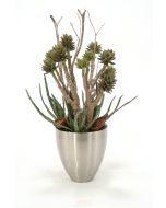 Mixed Aloe and Succulents with Natural Product in a Metal Vase
