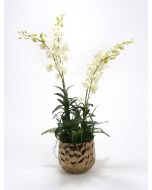 Waterlook White Orchids In Glass Spotted Leopard Vase Distinctive Designs