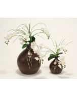 Waterlook White Orchids In Glass Spotted Leopard Vase Distinctive Designs