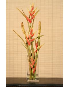 Waterlook&reg; Heliconia, Bird of Paradise Stalks in Tall Glass Vase