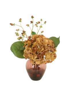 Burgundy-Brown Hydrangea in Plum Vase