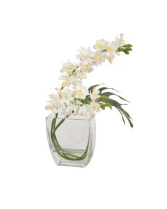 Waterlook&reg; White Orchid Arrangement with Split Philo Leaf in Curved Rectangular Glass Vase