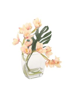 Cymbidium Orchid with Split Philo in Tapered Glass