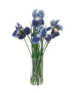 Waterlook®  Blue Iris with Blades in Glass Cylinder