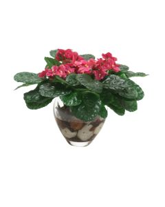 Fushia Violets in Small Clear Vase (PK 2)