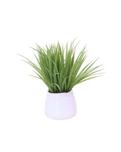 Grass in White Planter
