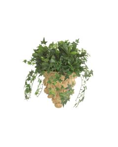 Mini Ivy Mixed with Pittosporum in Tan Wall Hanger