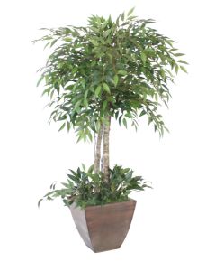 4' Ruscus Tree in Square Metal Contempo Planter
