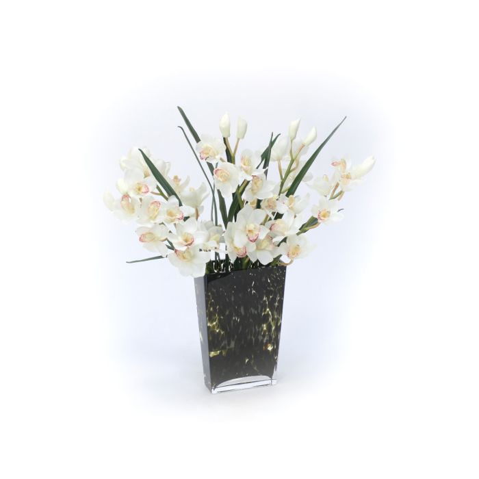 Waterlook White Orchids In Glass Spotted Leopard Vase Distinctive Designs