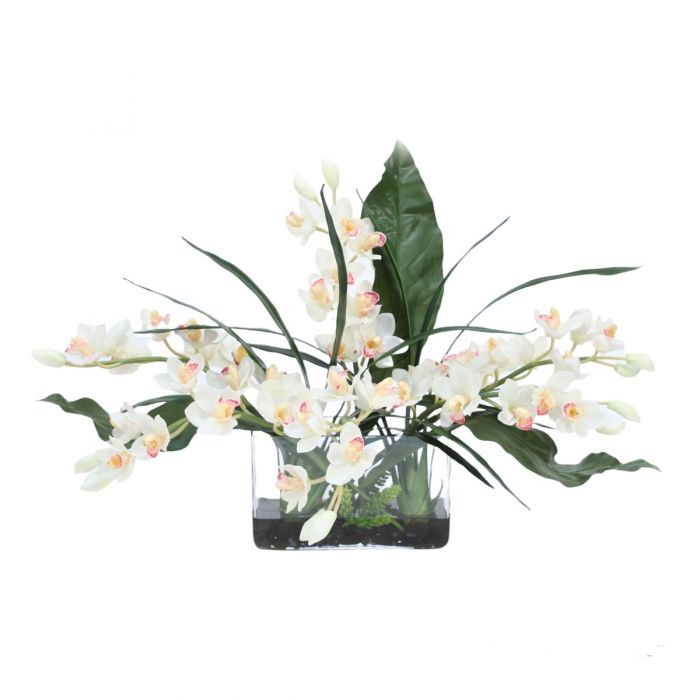 White Cymbidium Orchids With Leaves In Clear Vase Distinctive Designs