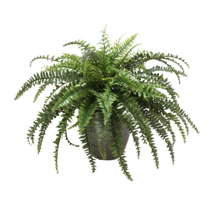 32 Boston Fern, Artificial Ferns