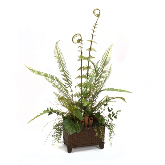 Fern Mix Basket - Distinctive Designs