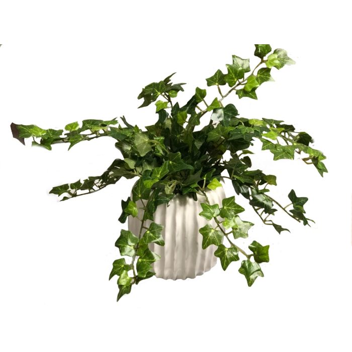 Mini Ivy in Haven White Planter (Set of 3) Distinctive Designs