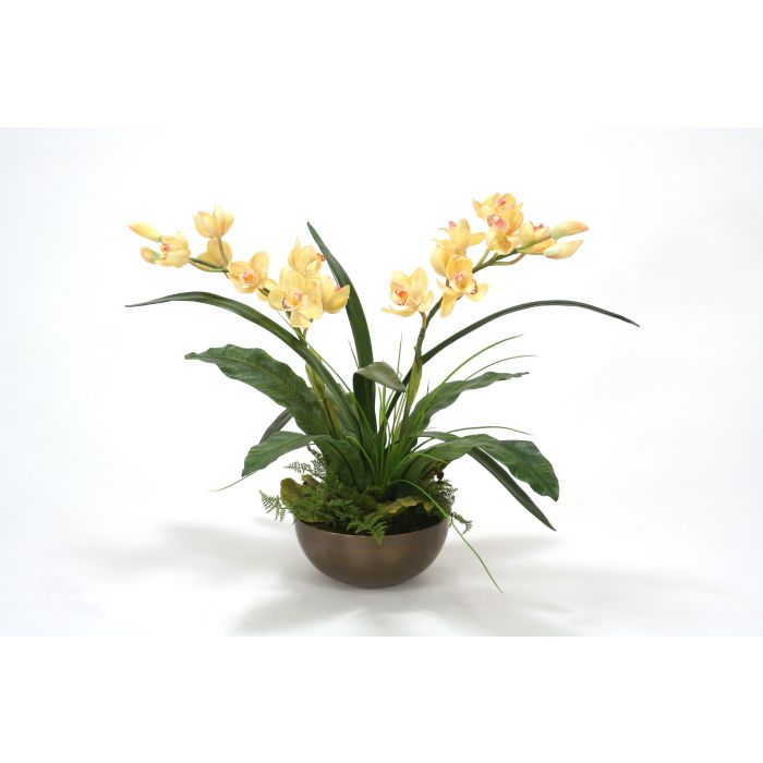 Pale Yellow Cymbidium Orchid Plants With Ferns In Metal Bronze Bowl Distinctive Designs,Green Onion Vs Chives