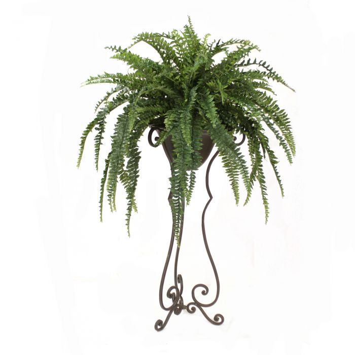 Boston Fern in Floor Plant Stand Distinctive Designs