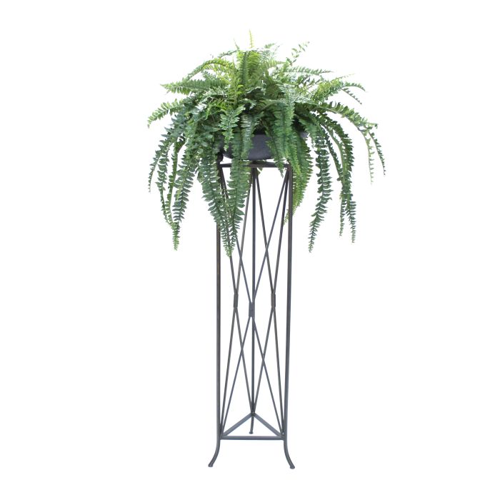 Boston Fern In Stone Bowl In Large Plant Stand Distinctive Designs Boston Fern In Stone Bowl In Large Plant Stand Distinctive Designs
