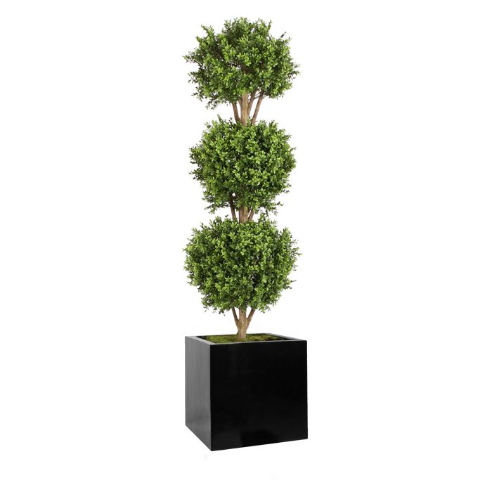 Triple Ball Topiary