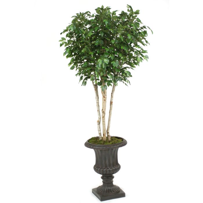 6’ Ficus Artificial Tree in Nursery Planter