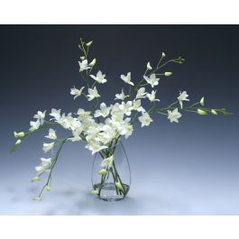 Waterlook White Dendrobium Orchid In Angled Glass Vase Distinctive Designs