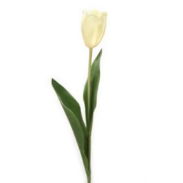 【stinaスティナ】レオタードtypeＩdrop / tulip×whiteＳ di-760-wh.jpg