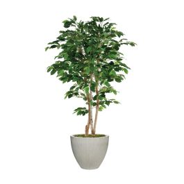 7' Deluxe Ficus Tree in Light Grey Vertically Ridge Planter